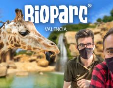 Descubre la magia del Bioparc Valencia: un destino imperdible para tu próximo viaje de turismo
