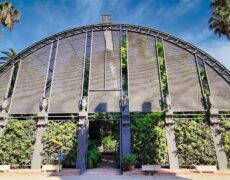 Explora el turismo botánico en Valencia: Descubre el Jardín Botánico de la Universidad de Valencia