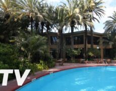 Descubre Elche: Explorando el Huerto del Cura en un Viaje de Turismo