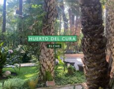 Descubre el encanto del Jardín Huerto del Cura en Elche: una experiencia turística imperdible