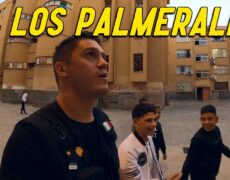 Descubre la belleza del Palmeral de Elche en tu próximo viaje de turismo