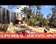 Descubre la belleza natural de Alicante: Paseando por el Parque El Palmeral