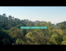 Descubre el encanto del turismo en Elche: Visita el Parque Municipal en tu próximo viaje