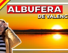 Descubre el encanto del Parque Natural de La Albufera en Valencia: Guía de turismo y viaje