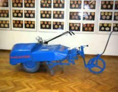 Turismo en Burriana: Descubre el fascinante Museo de la Naranja