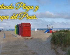Descubre el encanto del Parque del Pinar en Castellón: un destino ideal para tu próximo viaje de turismo